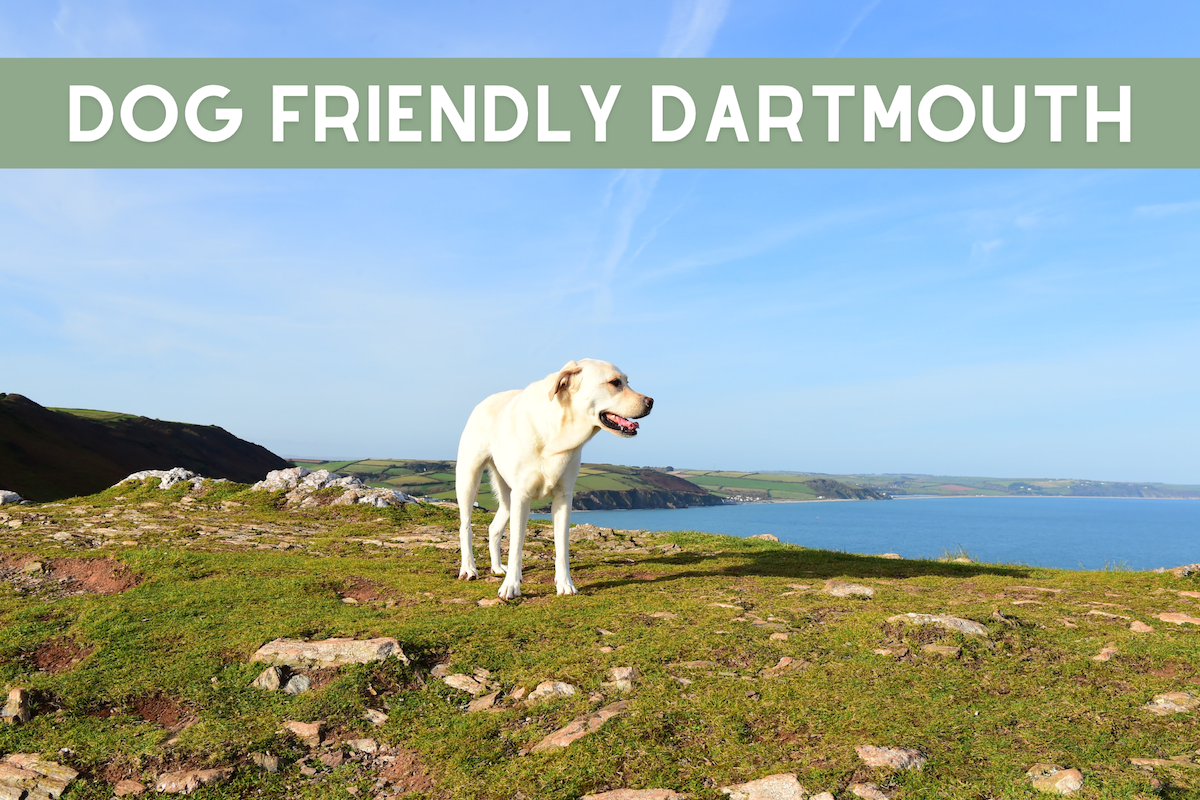 dog friendly Dartmouth