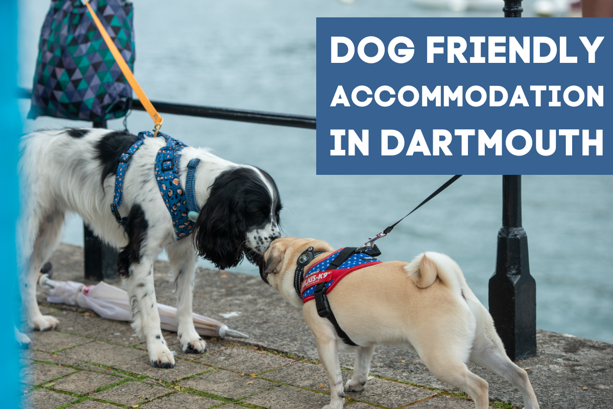 Dog Friendly Accommodation in Dartmouth