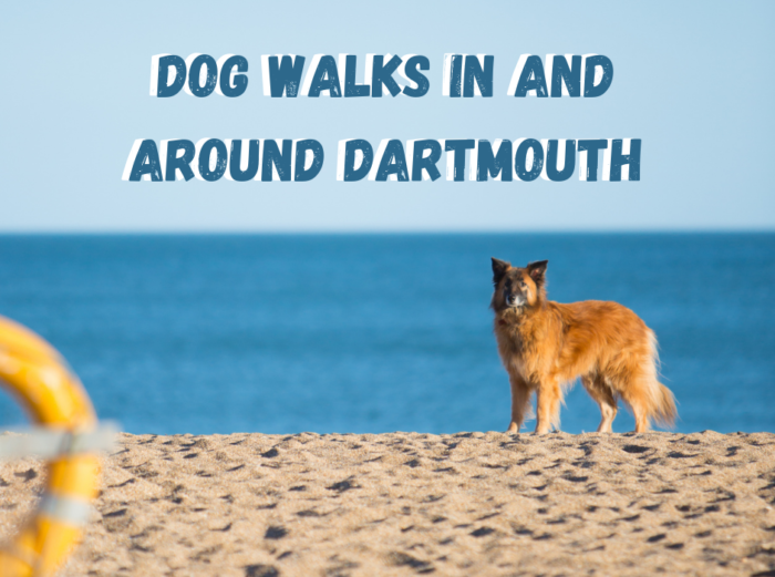 Dog walks in and around Dartmouth Discover Dartmouth