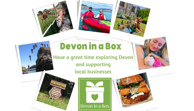 Devon in a box