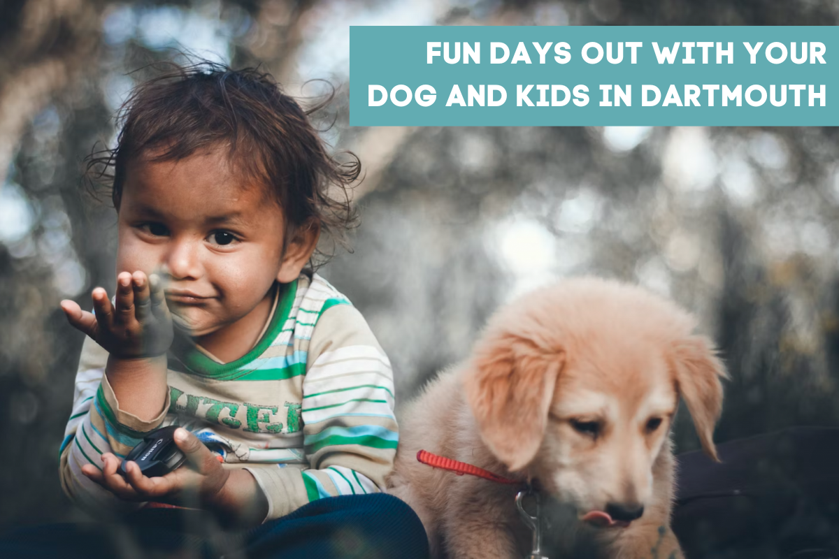 Days Out With Your Dog and Kids in Dartmouth