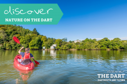 Discover nature on The Dart