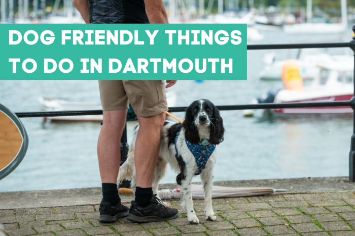 Dog Friendly Things to do in Dartmouth