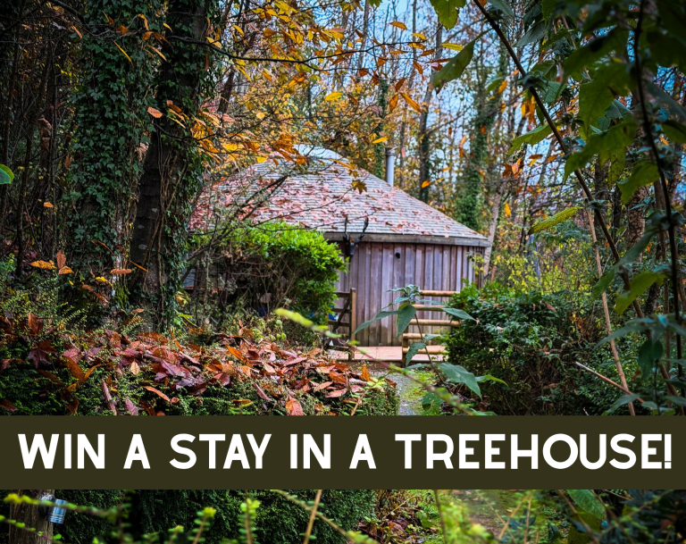 Win a stay in a treehouse
